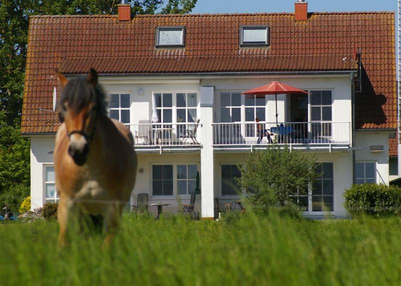 Ferienwohnung Boddenblick Zudar Extérieur photo